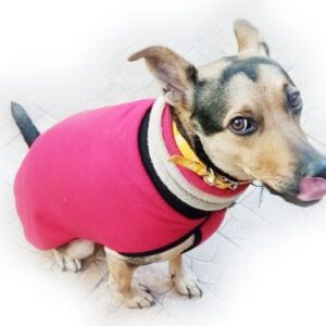 Ropa y mantas para perros