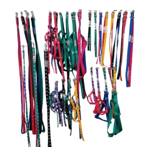 Combos petshop mayorista