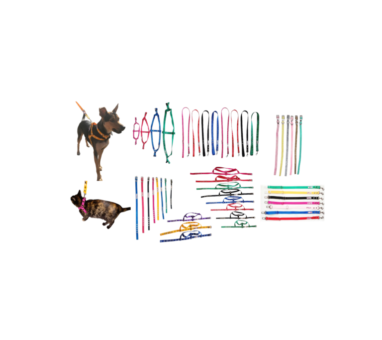 pretales por mayor para mascotas